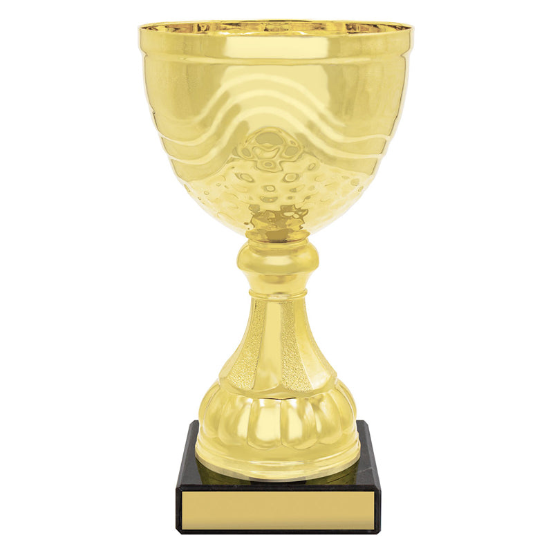 Community Cup