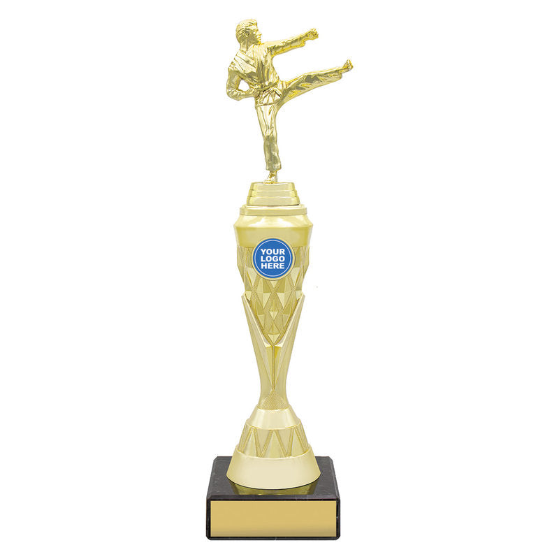 Karate Gold Vector