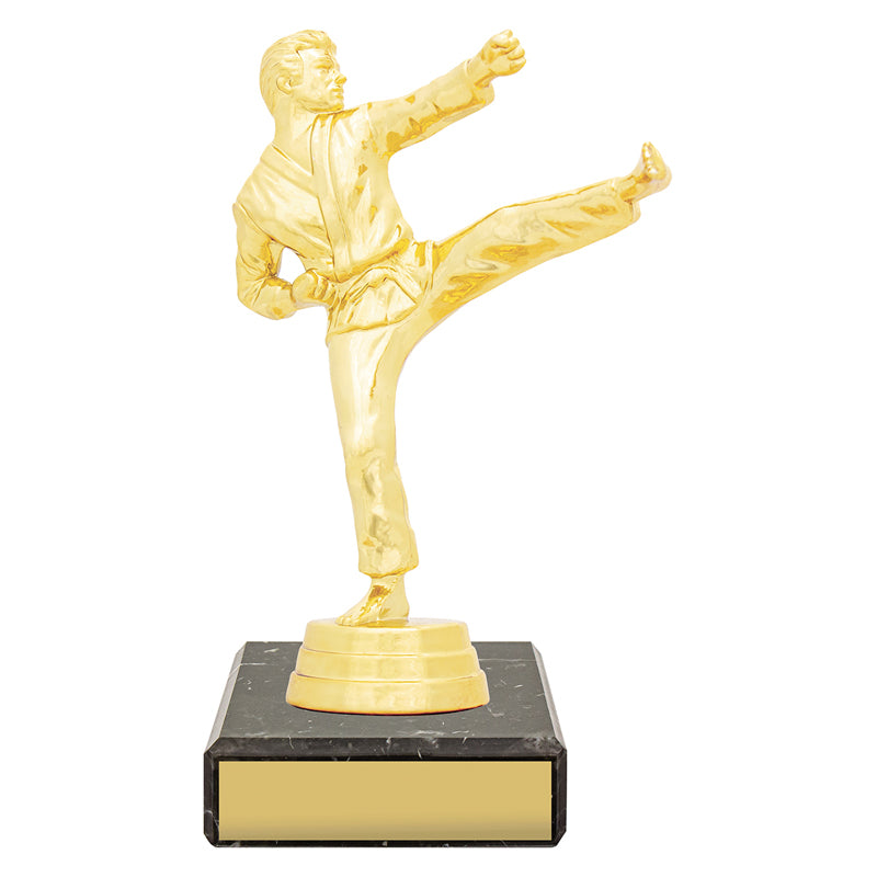 Figure Trophy - Karate