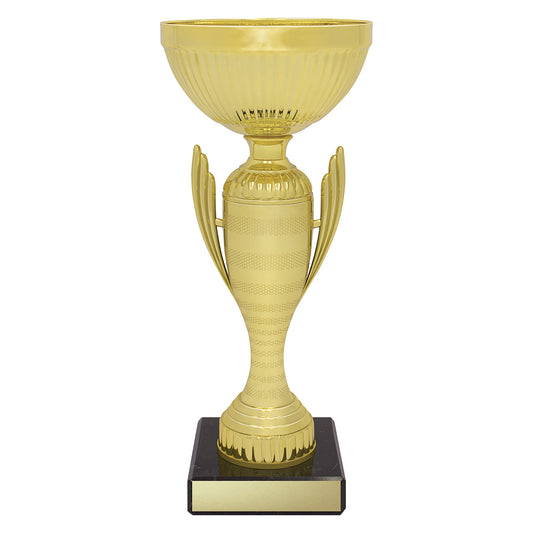 Guardian Cup
