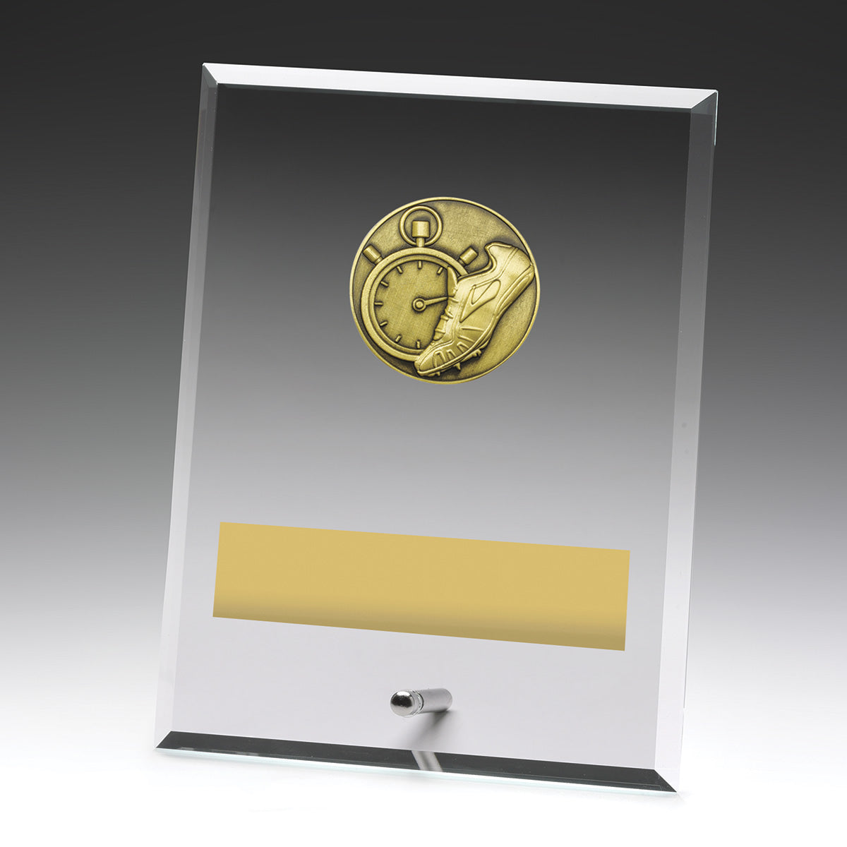 Glass Plaques - Track