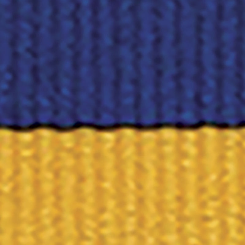 Blue / Gold Ribbon