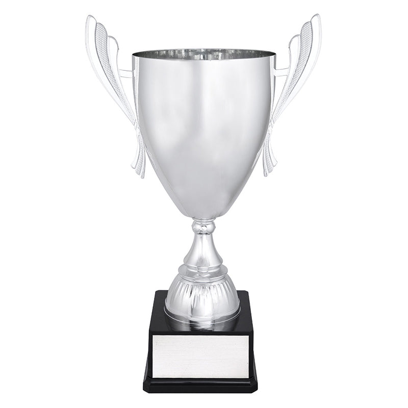 Silver Ironside
