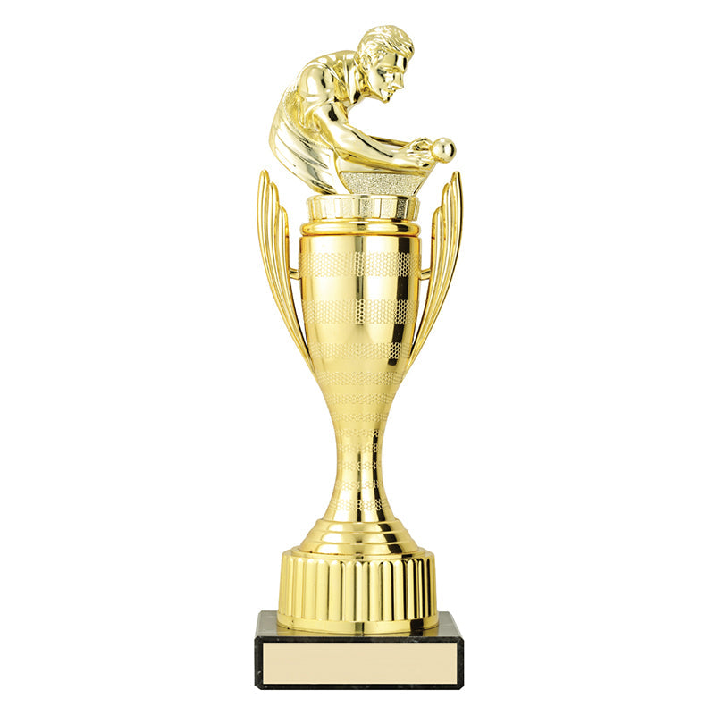 Guardian Cups