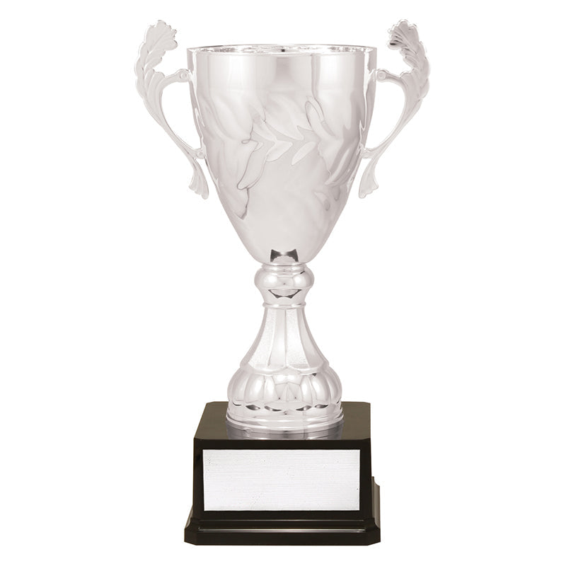 Silver Eternal Cups