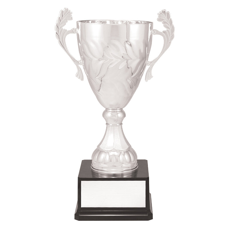 Silver Eternal Cups