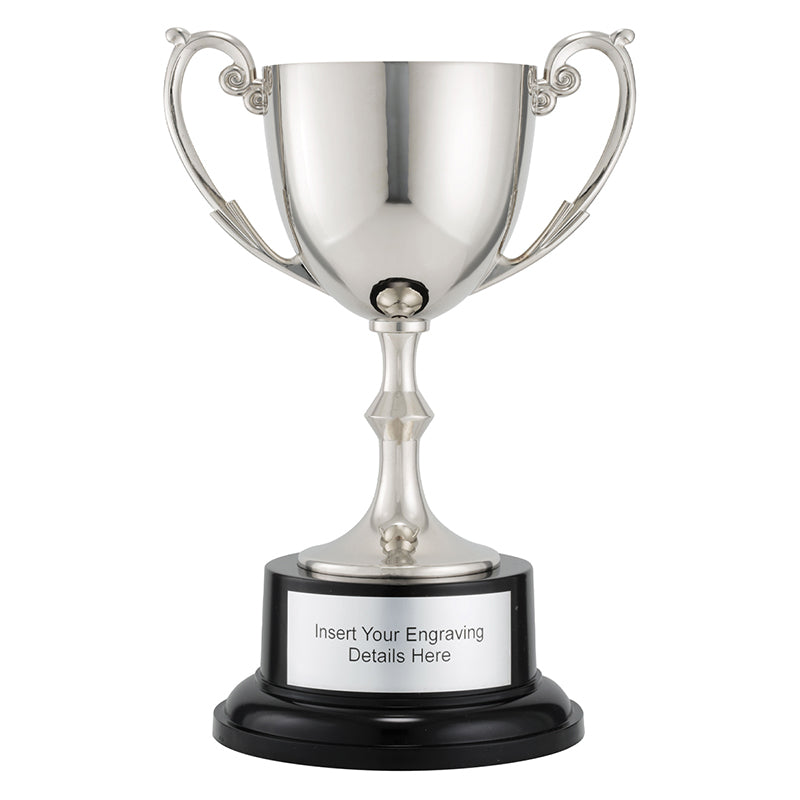 Recognition Cups