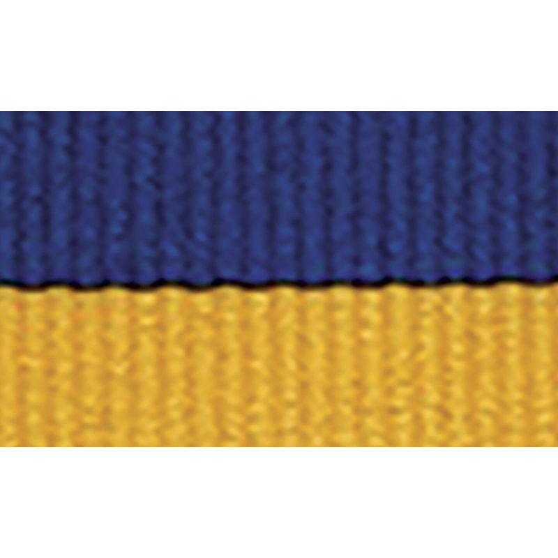 Blue / Gold Ribbon