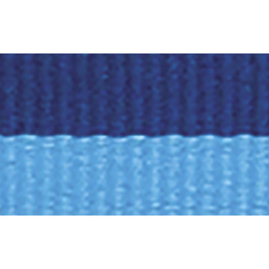 Blue / Light Blue Ribbon