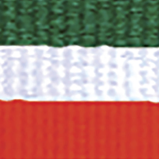 Green / White / Orange Ribbon
