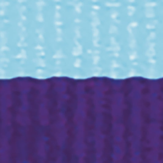 L.Blue / Purple Ribbon
