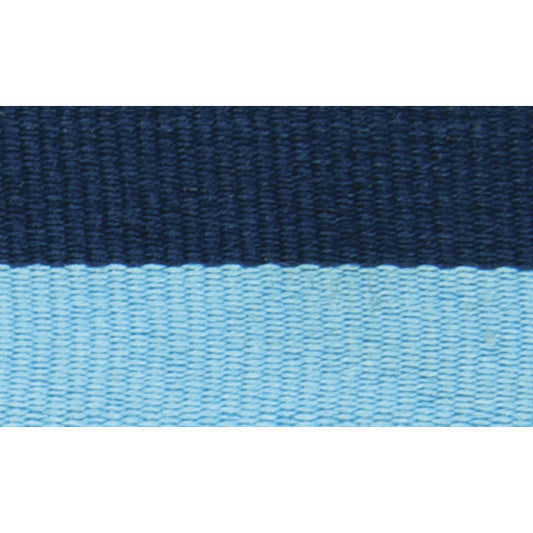Blue / Light Blue Ribbon