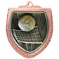 Shield Medal - Volleyball