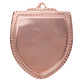 Shield Medal