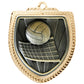 Shield Medal - Volleyball