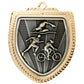 Shield Medal - Triathlon