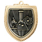 Shield Medal - Science