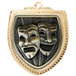 Shield Medal - Drama