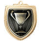 Shield Medal - Achievement