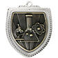 Shield Medal - Science