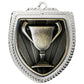 Shield Medal - Achievement