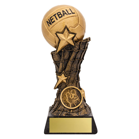 Netball Raised Ball