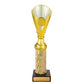 Norwood Cup
