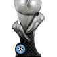 Evolution Series - Football