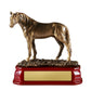 Horse Standing