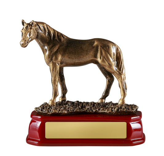 Horse Standing