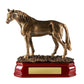 Horse Standing