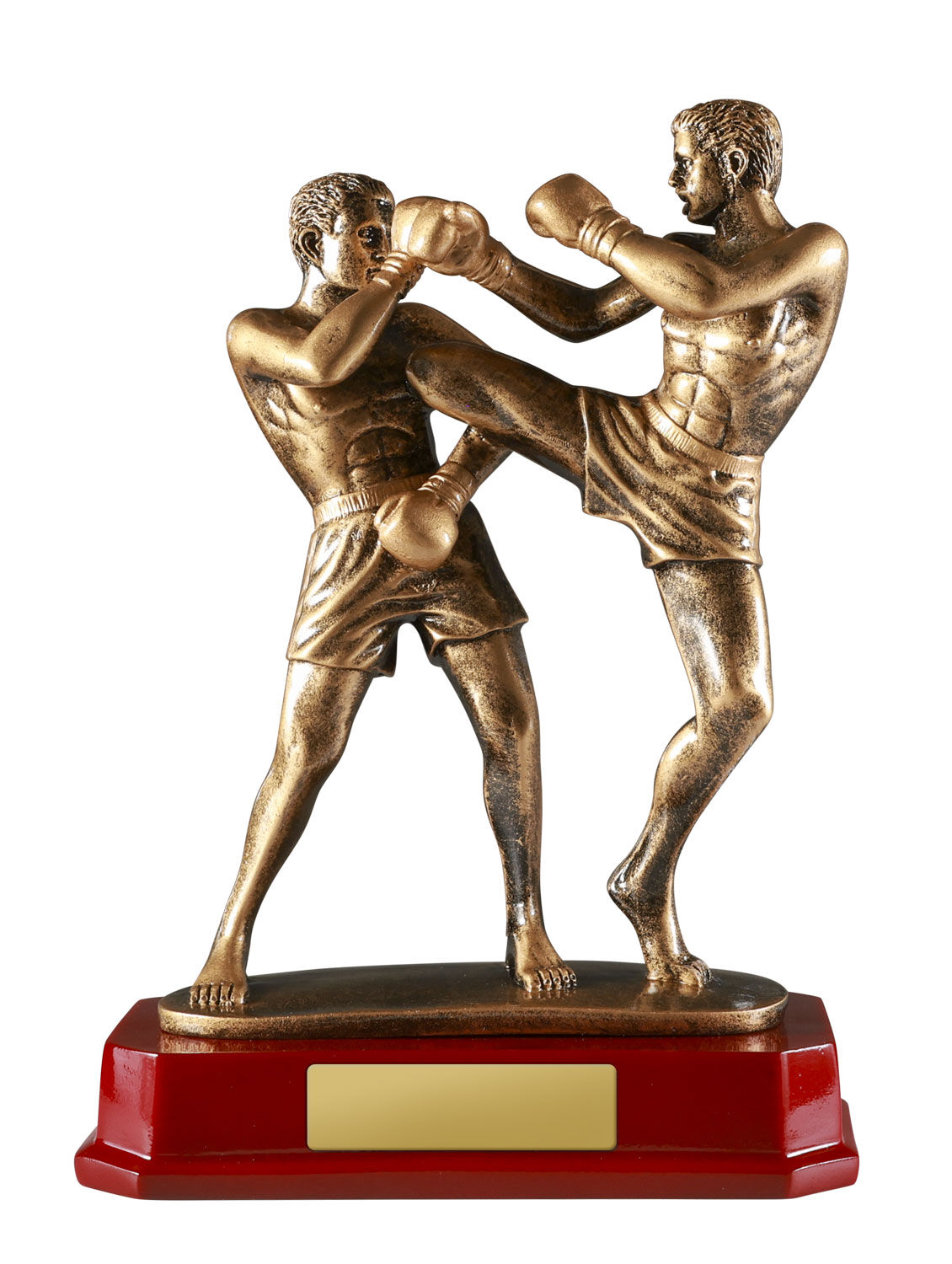 Double Kick Boxing