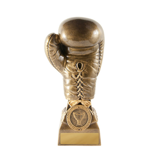 Boxing Glove