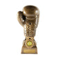 Boxing Glove