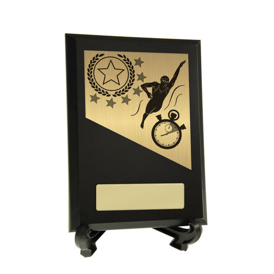 Plaque with Swimming Trim