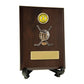Plaque with Ice Hockey Trim