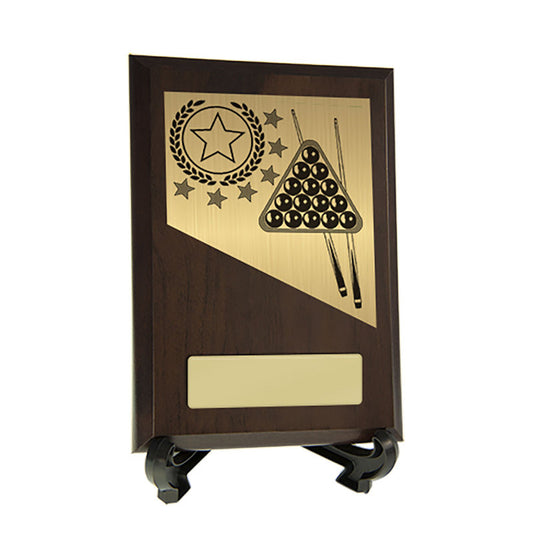 Billiards Theme on Plaque