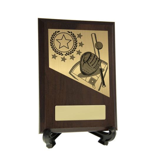 Baseball Theme on Plaque