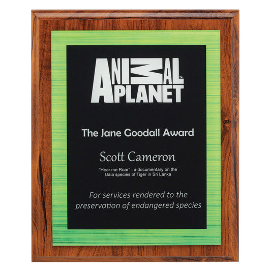 Vivid Green Plaque