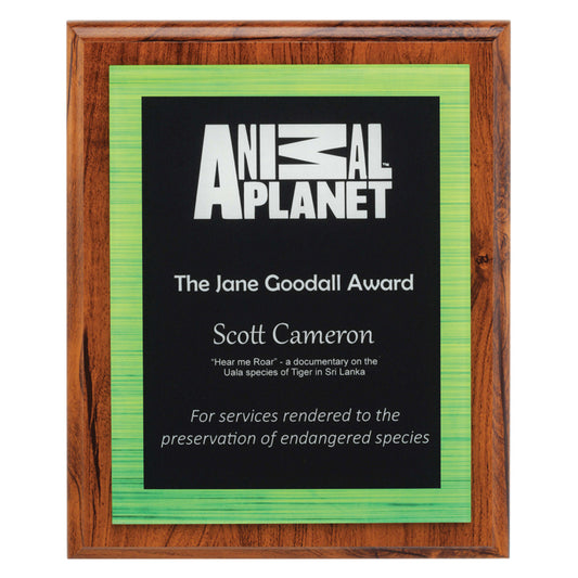 Vivid Plaque - Green