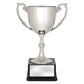 Recognition Cups