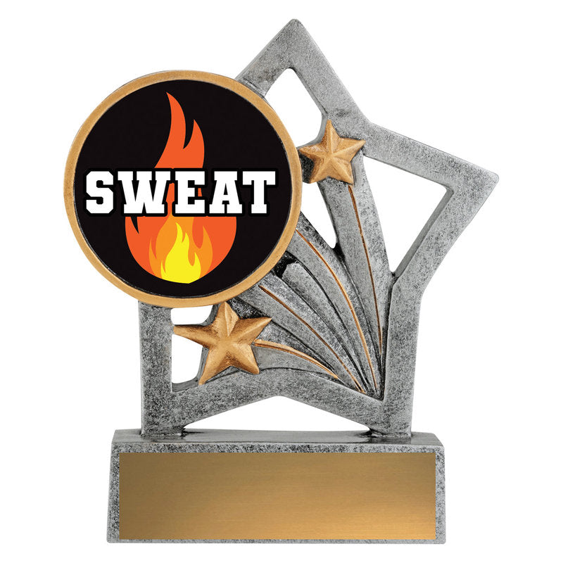 Flash - Sweat Training