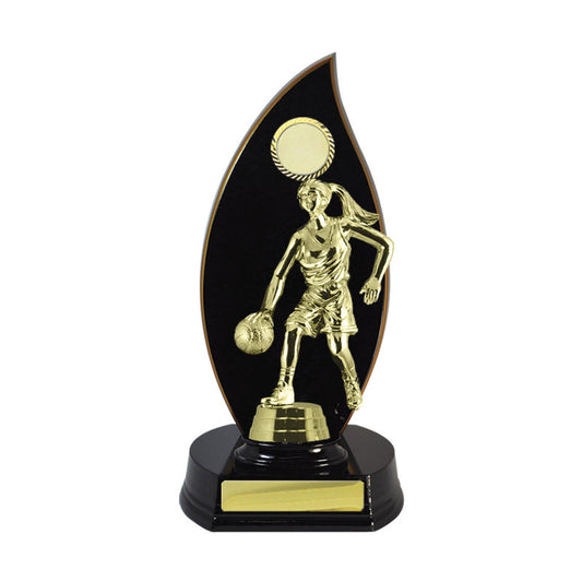 Timber Buildup Basketball