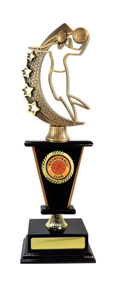Timber Buildup Multiple Sports - Tower & Logo