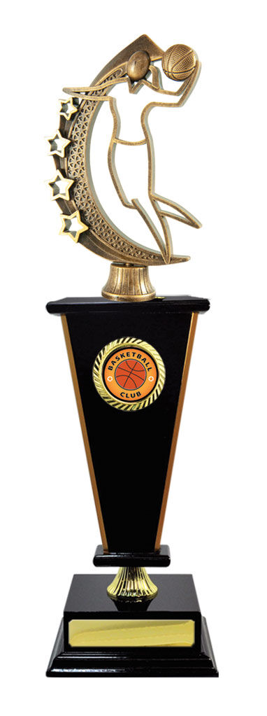 Timber Buildup Multiple Sports - Tower & Logo