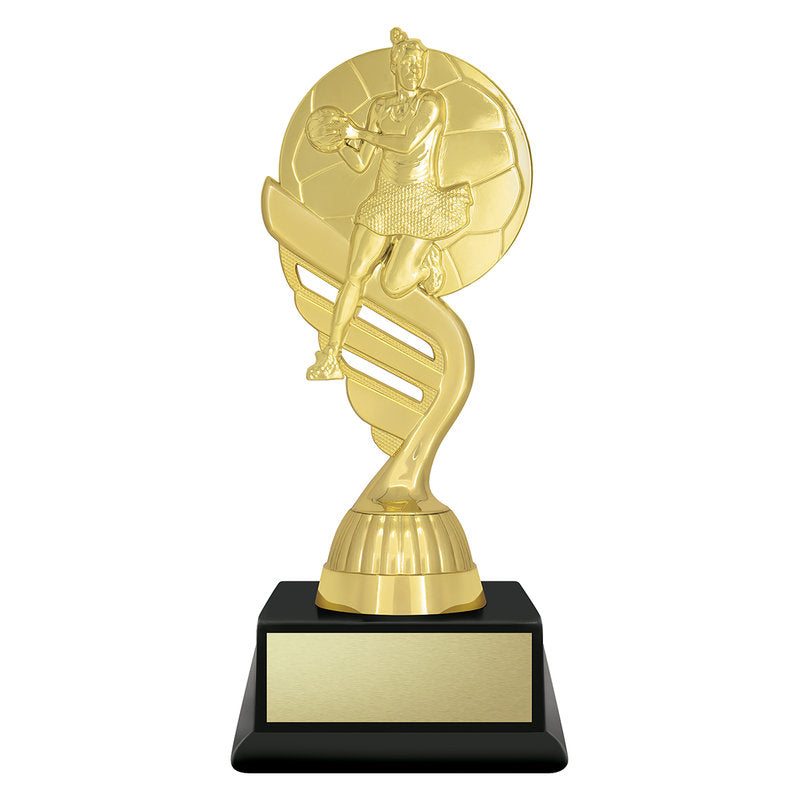 Budget Gold - Netball