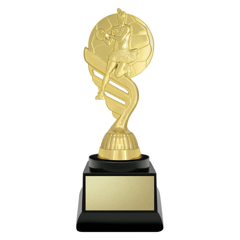 Budget Gold - Netball