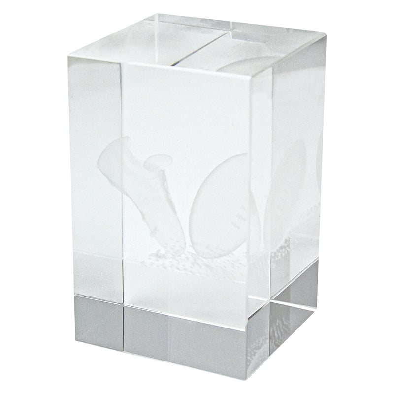 Rugby Crystal Block Award