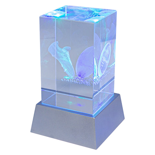 Light Up Crystal