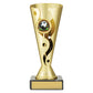 Carnival Cup - Football